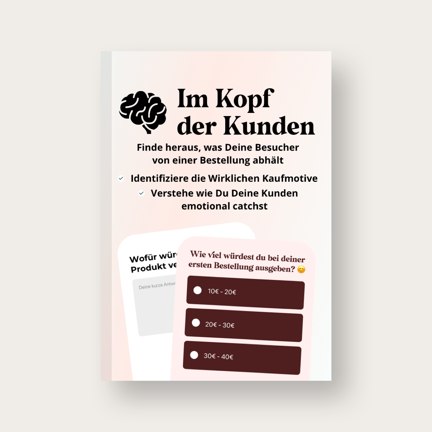 Die effektivsten Umfragen an Deine Shopbesucher